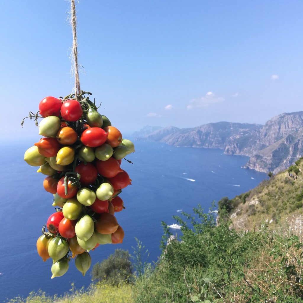 i percorsi e i sapori - Penisola Sorrentina