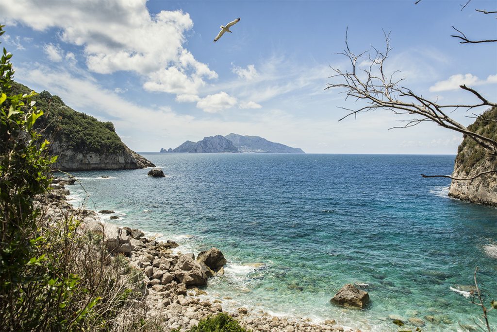 Cala di Mitigliano - Massa Lubrense