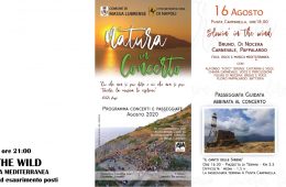 BLOWIN'-IN-THE-WIND-Natura-in-concerto-Massa-Lubrense