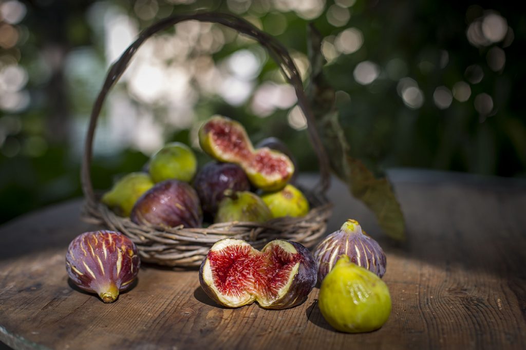 I Fichi del Vescovo About Sorrento