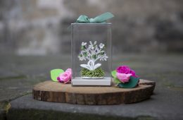 Palme di midollo di fico About Sorrento