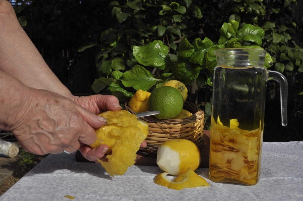 sorrento limoncello limoni