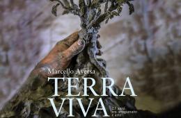 Natale a Sorrento mostra Marcello Aversa Terra Viva Villa Fiorentino M'illumino d'inverno 2021 About Sorrento