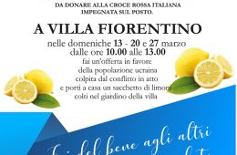 Eventi Sorrento marzo 2022 vendita limoni per beneficienza Ucraina - Copia