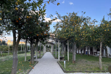 agrumeto villa fiorentino sorrento about sorrento