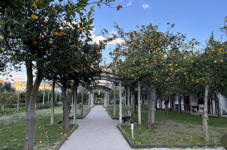 agrumeto villa fiorentino sorrento about sorrento