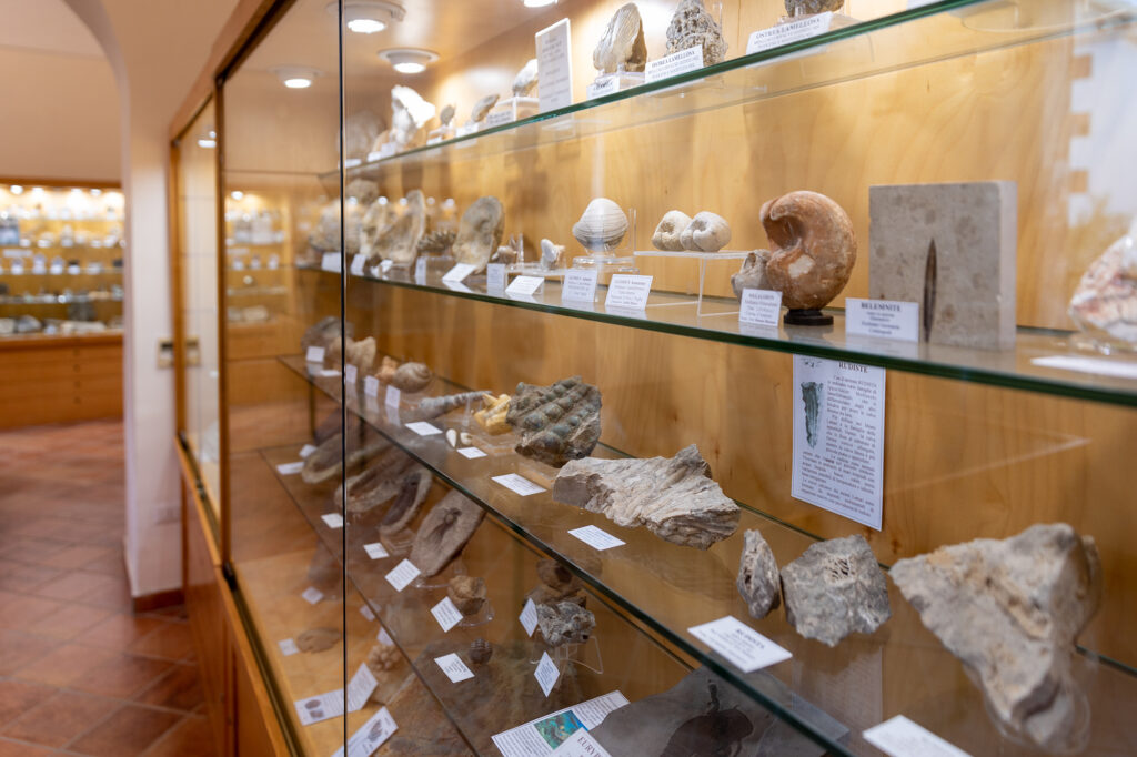 vico Equense_museo mineralogico campano