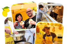 Eventi giugno 2023 Sorrento Summer Fattoria in Città