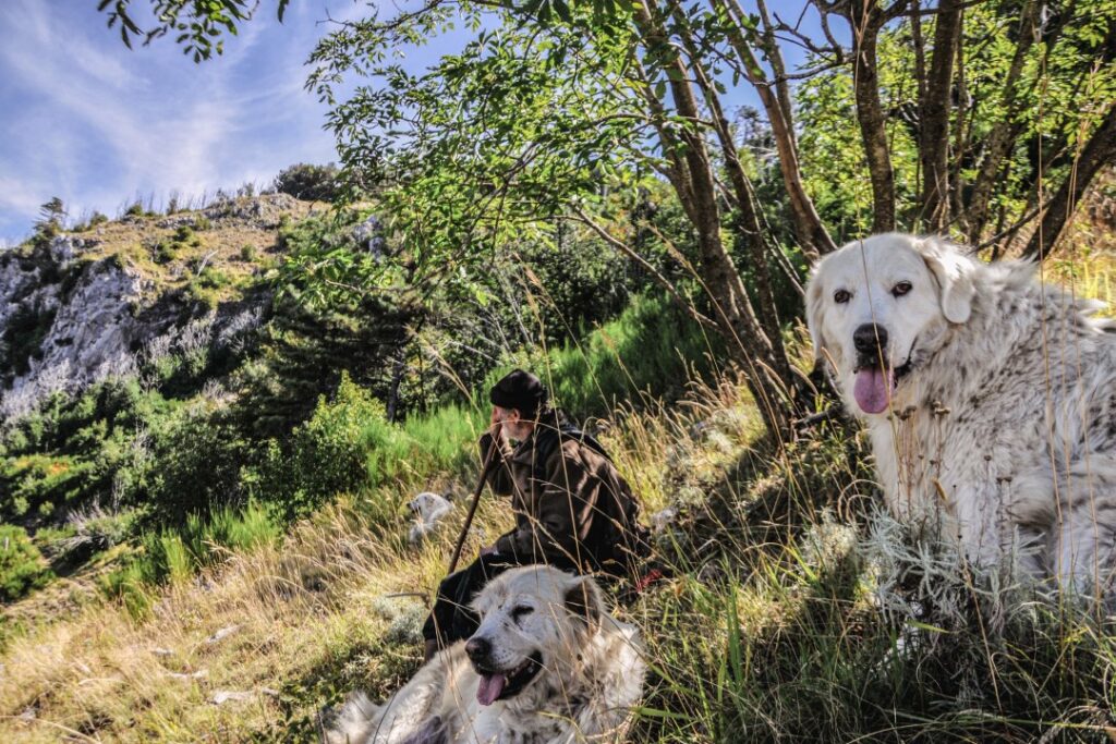 02_ febbraio Salvatore De Stefano february 2024 about sorrento calendar