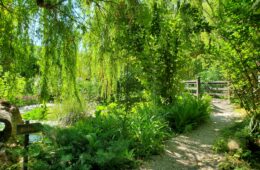 the entrance of the park oasi in città sant'agnello oasis in the city emalee pennington mypovsorrento 2024 about sorrento