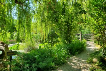 the entrance of the park oasi in città sant'agnello oasis in the city emalee pennington mypovsorrento 2024 about sorrento