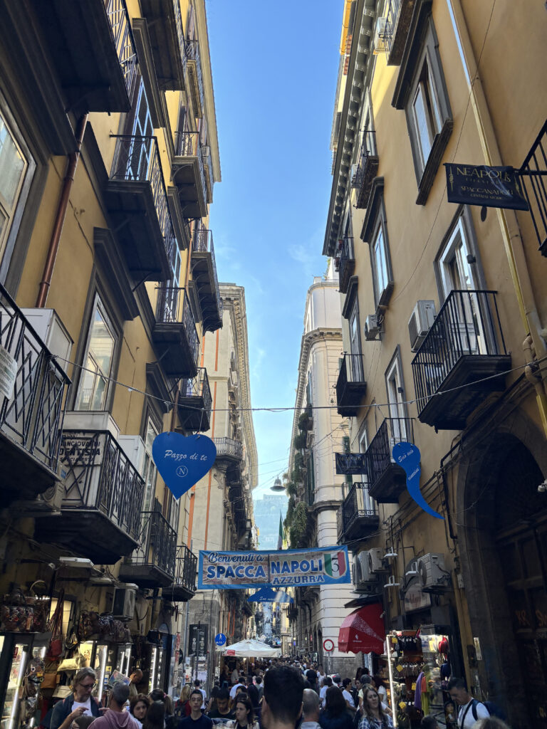 Naples historical center quartieri spagnoli day trips from sorrento abou sorrento 2024 Emma Ritter
