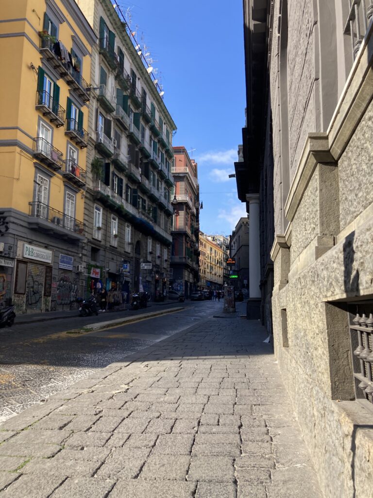 Justine Gilbert my pov Sorrento 2025 about Sorrento Day Trips to Pompeii and Naples -Naples tour