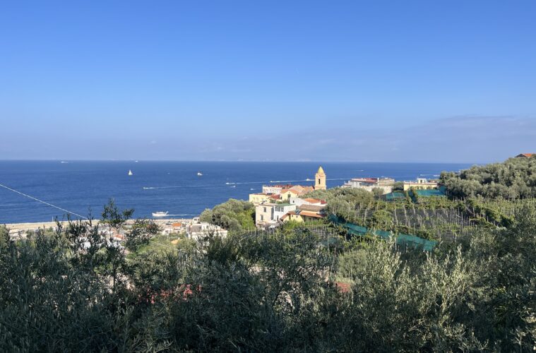 Summer 2025 Events Massa Lubrense