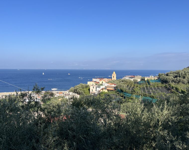 Summer 2025 Events Massa Lubrense