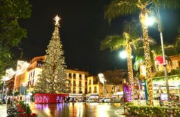 M'Illumino d'Inverno 2025- Natale a Sorrento - Albero