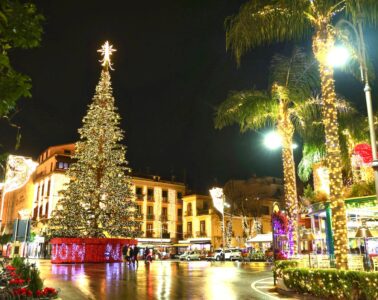M'Illumino d'Inverno 2025- Natale a Sorrento - Albero