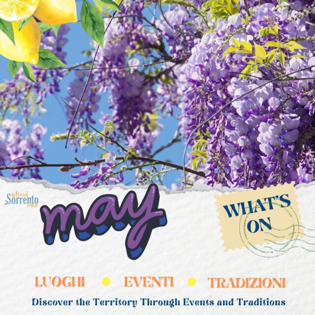 🌹Maggio a Sorrento: arte, tradizione, sport e… pizza!
Il mese di maggio porta con sé un’esplosione di eventi da non perdere a Sorrento e dintorni:

🙏– Processione di Sant’Antonino dei giardinieri | Prima domenica di maggio
Una tradizione sentita e suggestiva nel cuore di Sorrento, tra fede e cultura popolare.

⛵– Tre Golfi Sailing Week | Dal 14 al 21 maggio
Un appuntamento internazionale con la vela, tra i più affascinanti del Mediterraneo.

🎨– Mostra “Joan Miró. Il costruttore di sogni” | Villa Fiorentino, Sorrento
Un viaggio nell’universo creativo di Miró, tra sogno, colore e simbolismo.

🍕– Pizza d’aMare | Marina di Meta, 27-29 maggio 
Tre serate dedicate alla Regina della cucina italiana, in riva al mare con musica e intrattenimento!

👉Segui @aboutsorrento per rimanere aggiornato su tutti gli eventi del mese e vivere appieno la Penisola Sorrentina.
.
.
🇬🇧 May in Sorrento: art, tradition, sailing… and pizza!
May brings a vibrant calendar of unmissable events to Sorrento and the surrounding area:

🙏– Procession of Saint Antonino, Patron of Gardeners | First Sunday of May
A heartfelt and atmospheric tradition that brings faith and folklore to Sorrento’s streets.

⛵– Tre Golfi Sailing Week | 14–21 May
One of the most spectacular sailing events in the Mediterranean, hosted along our stunning coast.

🎨– “Joan Miró. The Dream builder” Exhibition | Villa Fiorentino, Sorrento - Late May.
Discover the magic of Miró through a colourful journey into signs, dreams and imagination.

🍕– Pizza d’aMare | Meta Beach, May 27th-29th
Three evenings celebrating Italy’s most iconic dish — by the sea, with music and good vibes!

👉Follow @aboutsorrento to stay in the loop and experience the Sorrento Peninsula like a true local!

#whatson #aboutsorrentocoast #sorrentocoast #may #mayinsorrento #ItalianTraditions