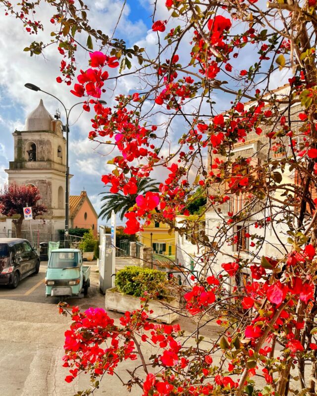 ✨ Spesso, pensando a Nerano, viene subito in mente Marina del Cantone. 🏖️ 
❓Ma ti sei mai perso tra i vicoli del borgo, scoprendo scorci unici e caratteristici, e visitando la chiesa di San Salvatore? ⛪

-----------

🇬🇧 When thinking of Nerano, Marina del Cantone immediately comes to mind. 
❓But have you ever wandered through its alleys, discovering unique and characteristic sights, and visiting the Church of San Salvatore?

👉 Follow #aboutsorrentocoast to discover the territory
📸 @aboutsorrento 

#nerano #villaggiodinerano #borgo #marinadelcantone #MassaLubrense #aboutsorrento #territhetraveler #mayinsorrento