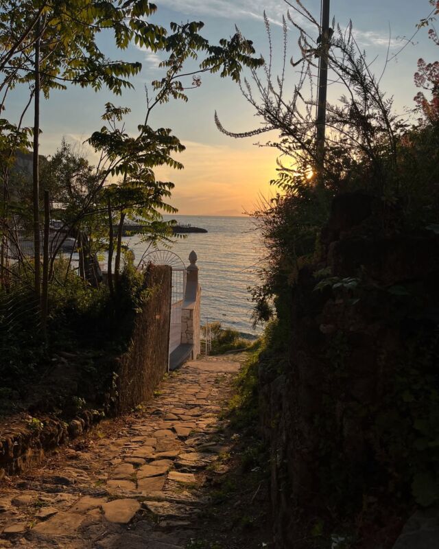 📍Seiano, una passeggiata in spiaggia al tramonto… Maggio regala sempre belle emozioni. 🌅🏖️ 
.
.
.
🇬🇧Seiano, a sunset stroll on beach… May always brings great emotions ✨

#vicoequense #seianobeach #may #sunsetcolors